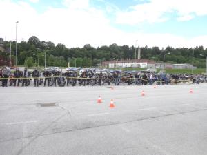 Ptički brez gnezda ponovno presenetili 4